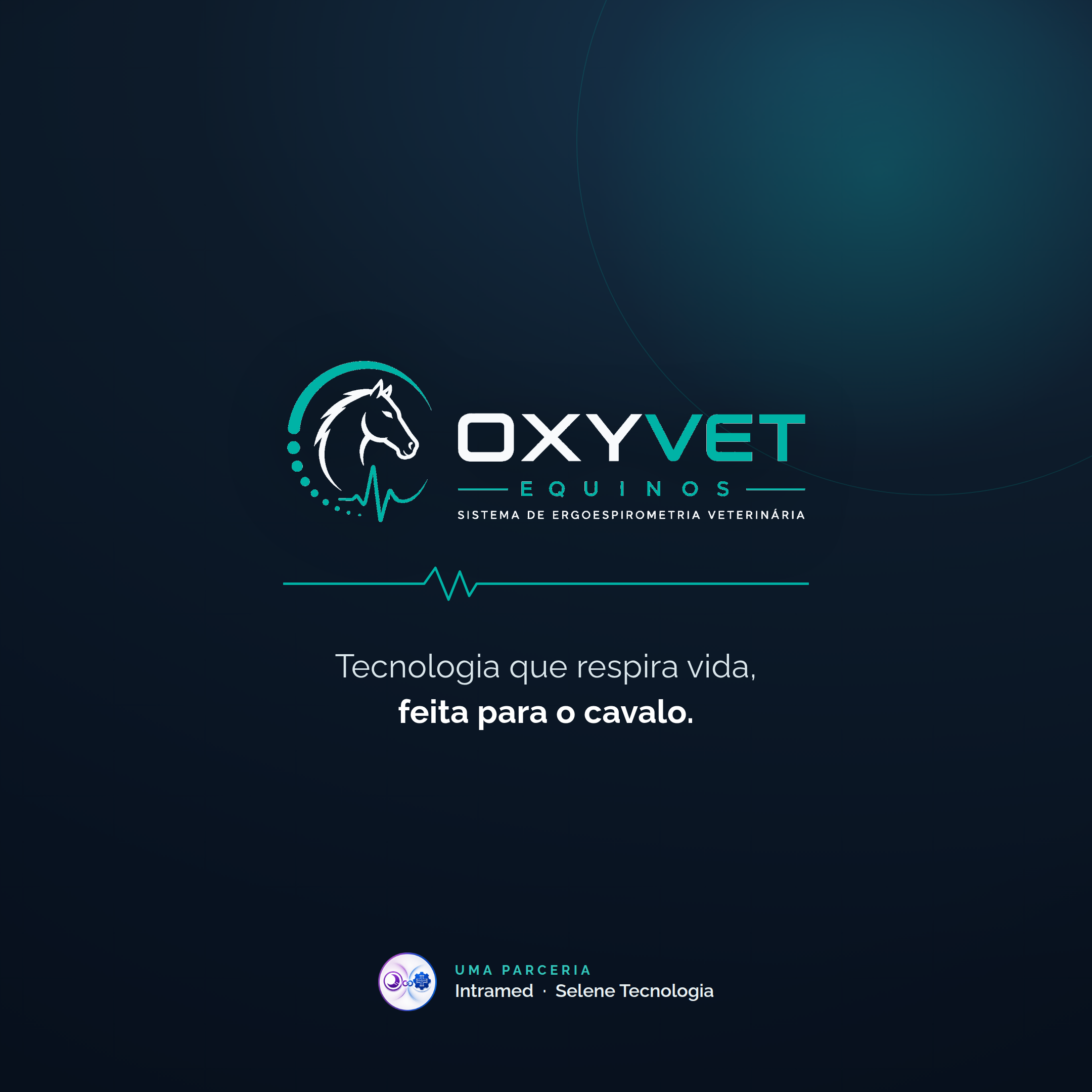 Key Visual de campanha OxyVet Equinos